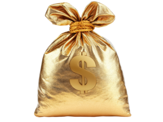 Isolated Golden Money Bag with Dollar Sign