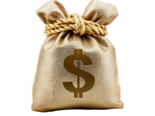 Isolated Golden Money Bag