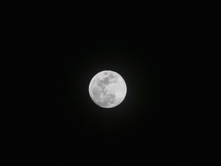 春の夜に月が浮かぶ11