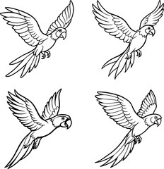 Obraz premium Parrot Line Art coloring page Detailed Bird Sketch Collection
