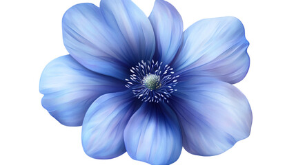 Fototapeta premium Blue flower with detailed petals, isolated on transparent background