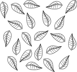 Tropical leaf pattern outline vector