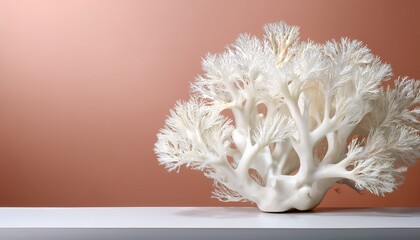 elegant white coral on minimalist background