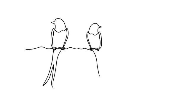 Abstract set of three birds sitting on a wire, swallow,swift,  Self drawing animation one continuous line draw, logo