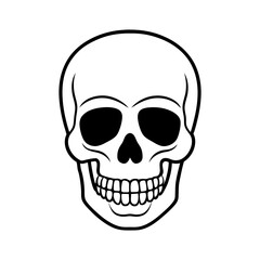 Obraz premium human skull isolated on white