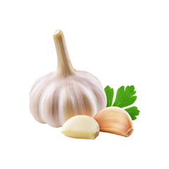 Fresh garlic with slice and coriande leaf on transparent background