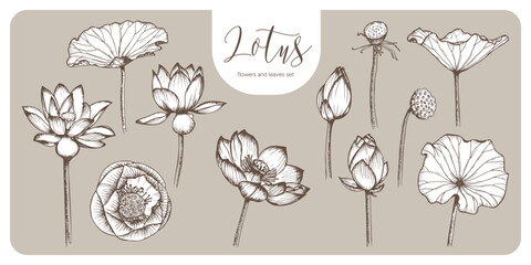 Lotus flowers and leaves sketch outline illustration set. Line art floral botany drawing in engraving style. Hand drawn vector clipart collection designs