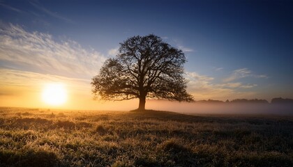 majestic solitary tree silhouetted against misty morning sky