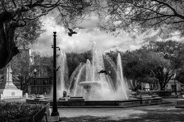 Citta&acute;di Ponce