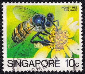 Postage stamp from Singapore issued in 1976 featuring the honey bee Apis javana collecting nectar...