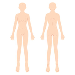 Fototapeta premium 女性の人体図 シェーマ 前面背面