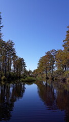 Okefenokee National Wildlife Refuge, Georgia, US