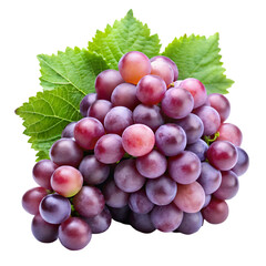 Fototapeta premium Grapes isolated on transparent background 