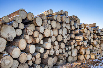 Pile of logs with some of them being cut in half