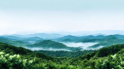 Obraz premium Lush Green Mountain Landscape with Misty Hills and Blue Sky