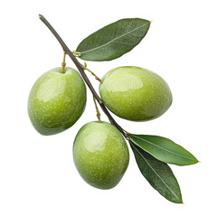 Three Green Olives with Leaves on the Branch on Transparent Background