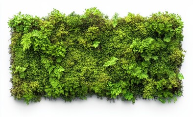 Lush green moss wall art indoor space visual display modern home aesthetic appeal nature-inspired decor