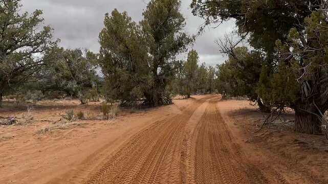 Utah desert red sandy forest trail recreation POV 4K. Recreation off road, nature exploring. Desert mountain canyon valley trail ride area. Rocky, forest, desert hill, river crossings.