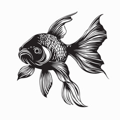 Goldfish vector. Elegant Goldfish Swimming Image vector on white background.