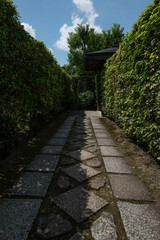 京都、妙心寺、日本庭園、青空、道、池塘、溪流、樹木、草、風景