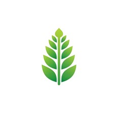 Obraz premium Green leaf icon representing growth and nature