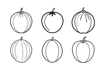 Elephant Apple – Dillenia indica line art vector illustration