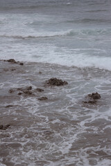 Fototapeta premium mar, campo, azul, verde, plantas, cactus, rocas, animal, agua, espuma