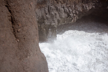 mar, campo, azul, verde, plantas, cactus, rocas, animal, agua, espuma