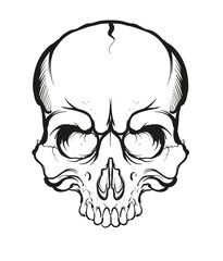 Illustration of a skull in graphics line tattoo and print style, crafted in vibrant vector colorful graphic style on a transparent isolated clipart background in vector format.