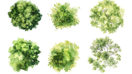 Watercolor Tree Top View – Lush Green Foliage on white background Ai Generated