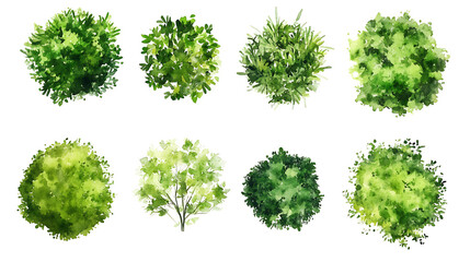 Watercolor Tree Top View – Lush Green Foliage on white background Ai Generated