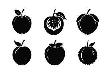 Elephant Apple – Dillenia indica silhouette vector illustration