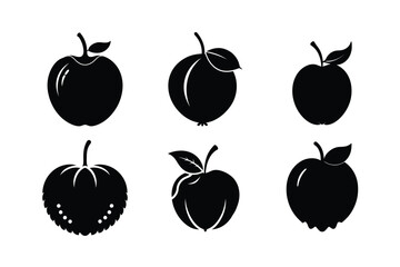 Elephant Apple – Dillenia indica silhouette vector illustration