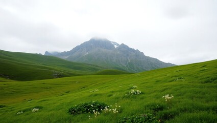 Fototapeta premium Serene Mountain Vista, A Sprawling Green Meadow Gently Rolling Towards A Majestic Peak Under A Soft, Cloudy Sky