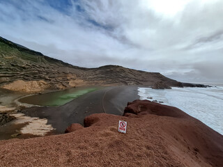 mar, campo, azul, verde, plantas, cactus, rocas, animal, agua, espuma