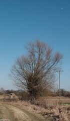 pola i księżyc  © ukasz