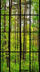 Forest view from window Tall trees fill background. Nature, serenity, home decor, wallpaper