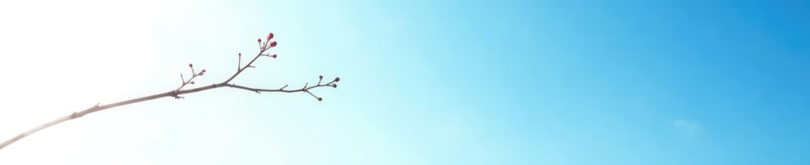 Single isolated branch against a bright blue sky on white background, nature, mist