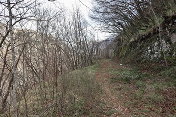 Roccamandolfi - Sentiero 140 sul versante nord del Monte Crivari