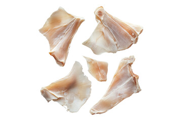Raw leg pieces Isolated on transparent background