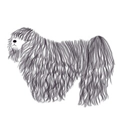 set of cute dog breeds