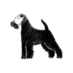 set of cute dog breeds