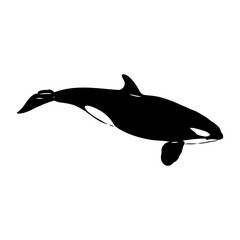 Simple orca logo vector illustrations. Orca monochrome Logo design vector template.