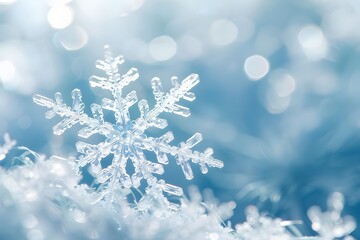A Single Snowflake's Intricate Design: Witnessing the Beauty of Winter's Delicate Crystals, A Close-Up View of Nature's Frozen Masterpiece in Stunning Detail, Revealing the Wonders of Crystallization.