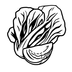Crisp Lettuce and Juicy Tomato Illustration                                                         