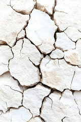 Fototapeta premium Cracked earth texture