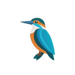 king fisher on white background