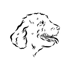 Barbet dog black contour portrait. Dog head in front view vector illustration isolated on white.