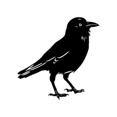 vector silhouette ravens on white background