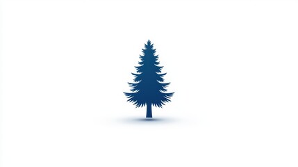 Obraz premium Majestic pine tree casting a long shadow on the ground in serene landscape lush